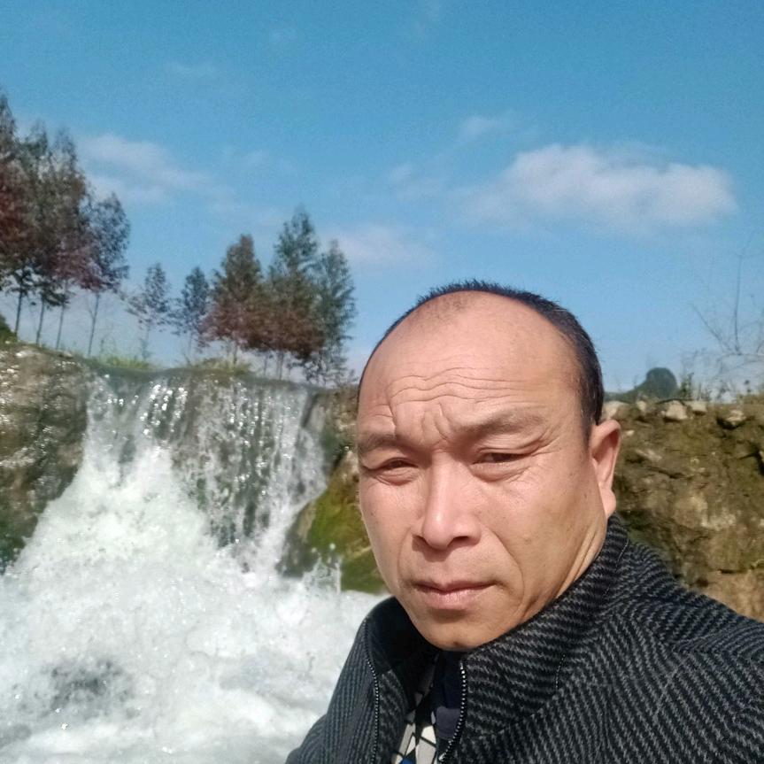 老七