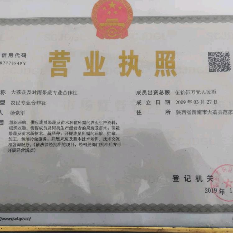 （枣中缘）大荔县及时雨果蔬专业合作社