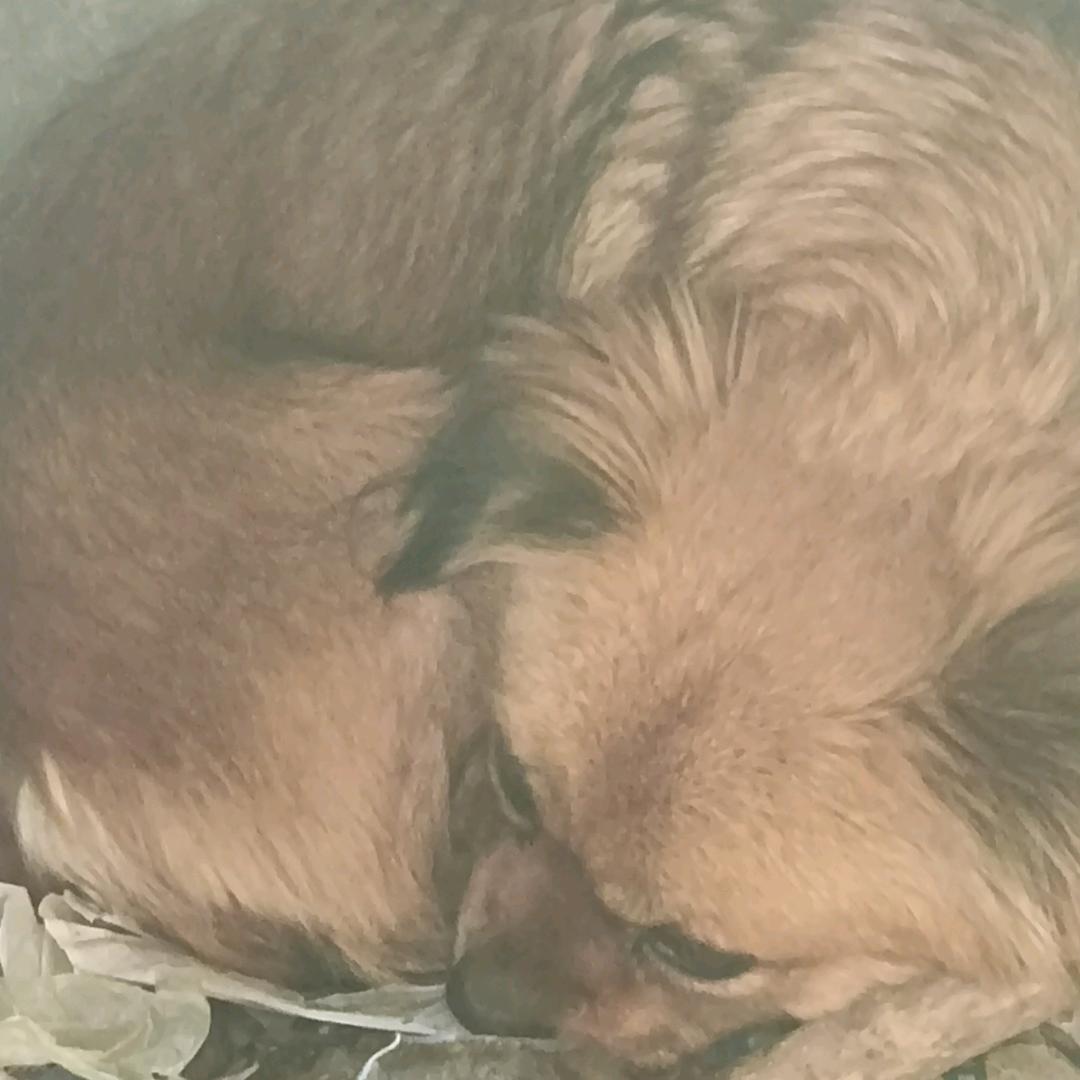 辽宁省营口市鲅鱼圈区金