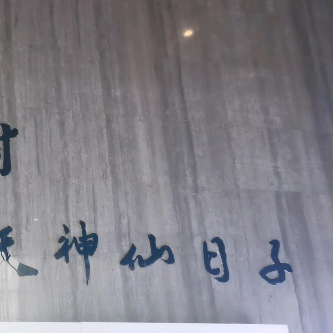 村长助理