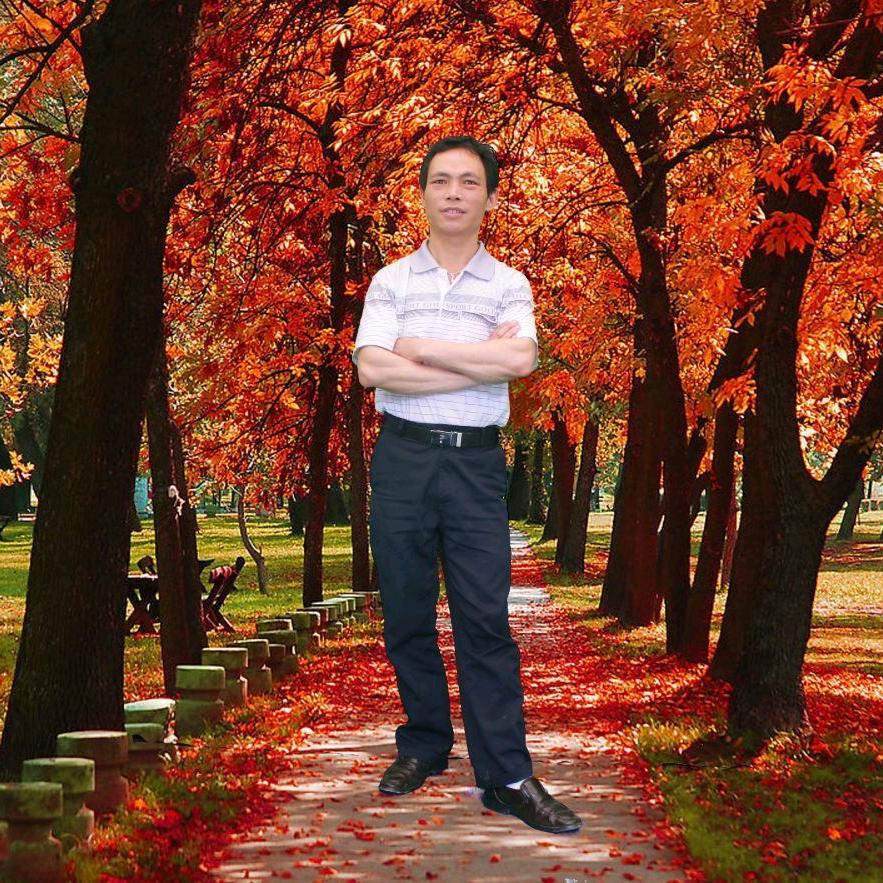 龙年平安财星高照