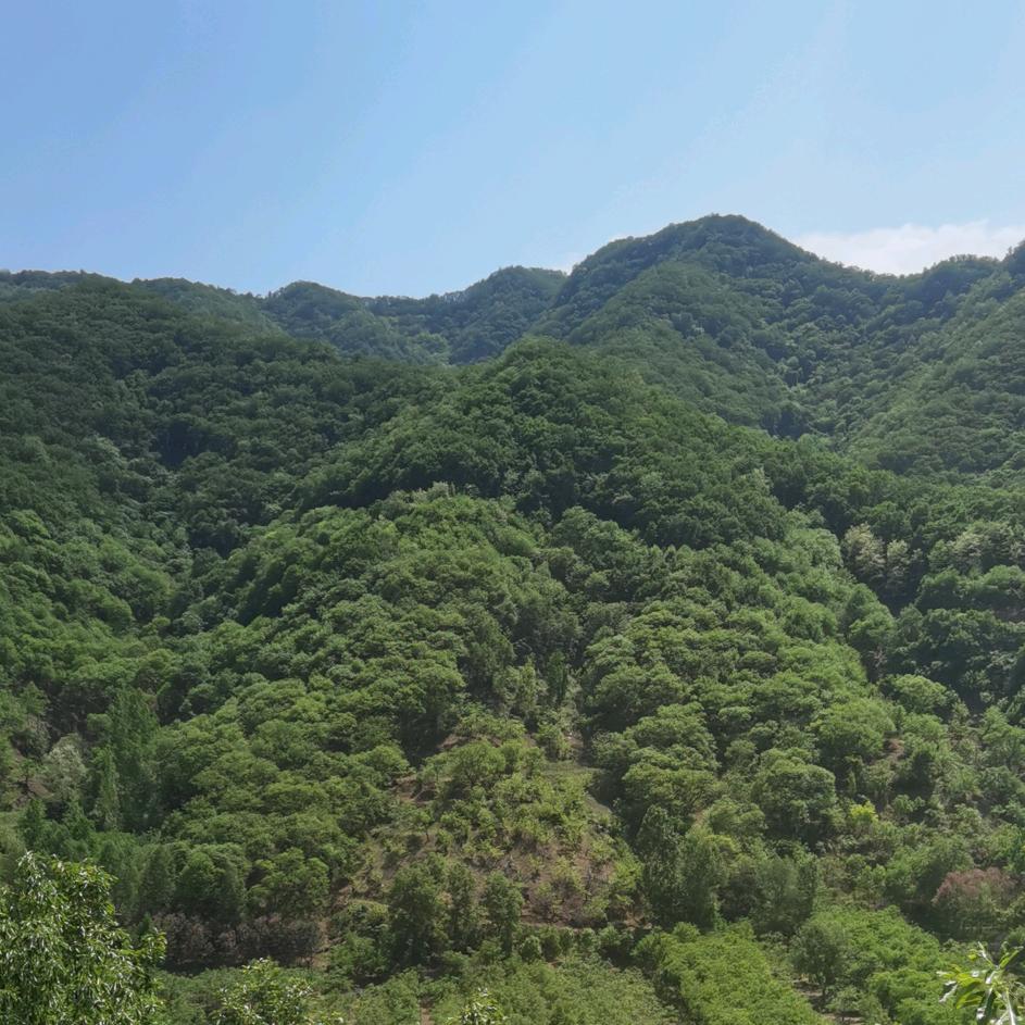 云中歌