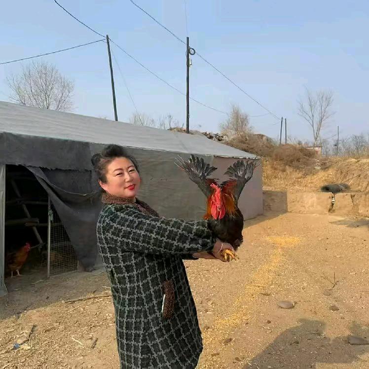 千里香家庭农场潘华