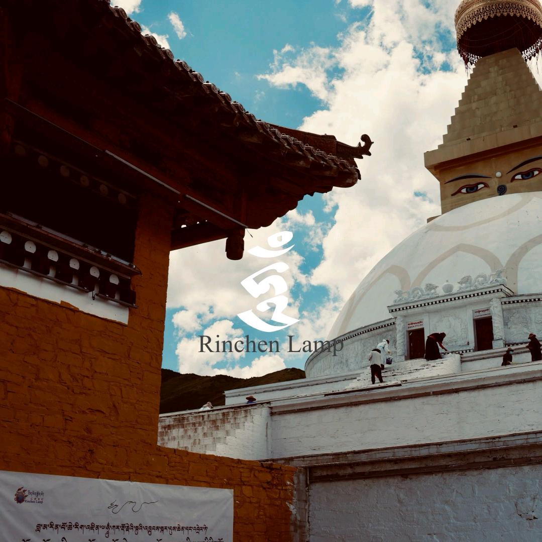 སྒྲོན་མ་སྲོང་།🕊️