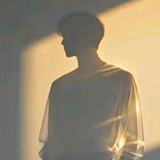 ☆.。影子。.:*・°