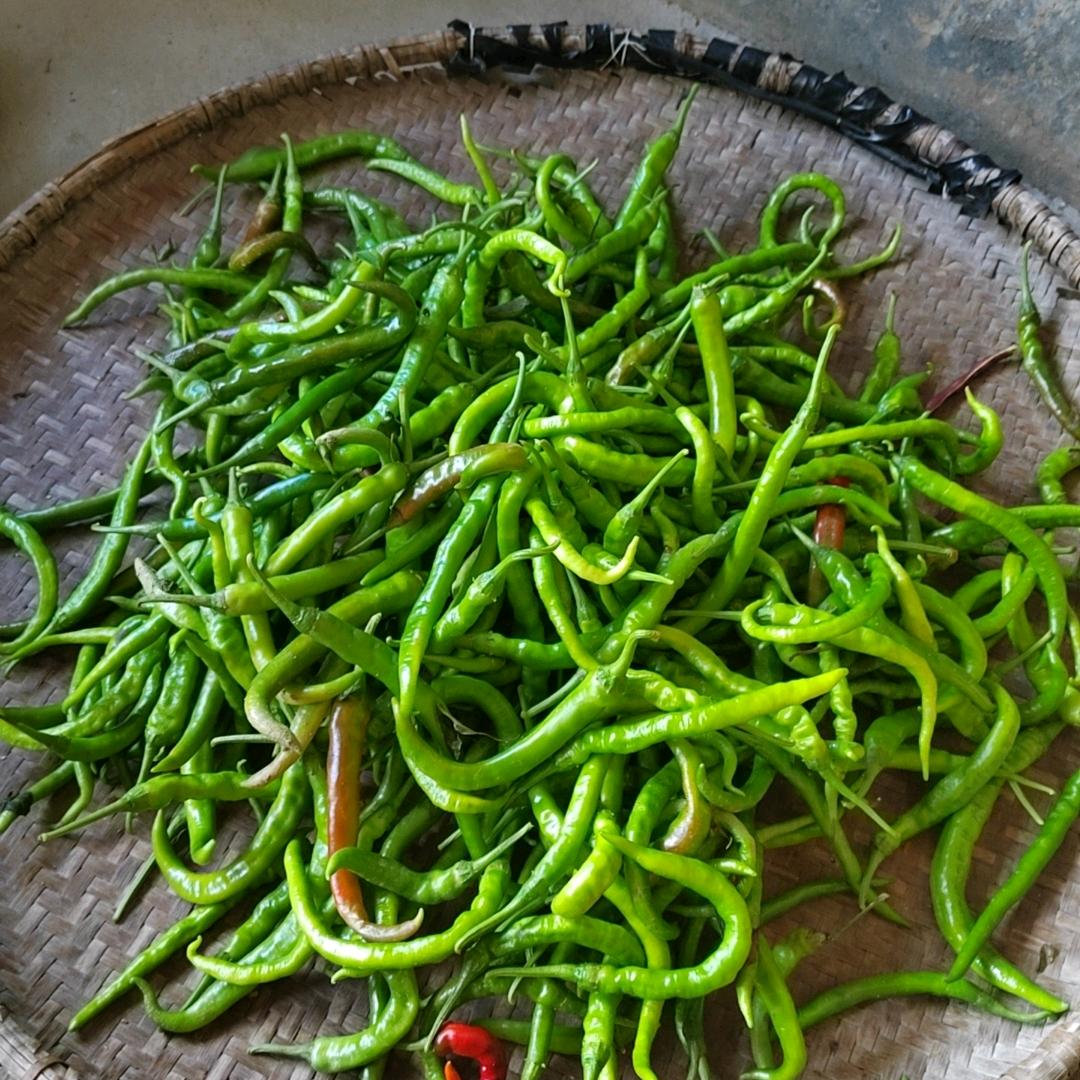 清风不问赶路人