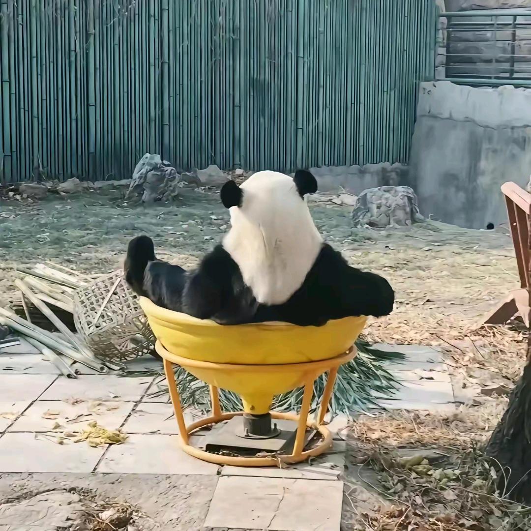哇哈哈哈哈哈哈 o(*≧▽≦)ツ