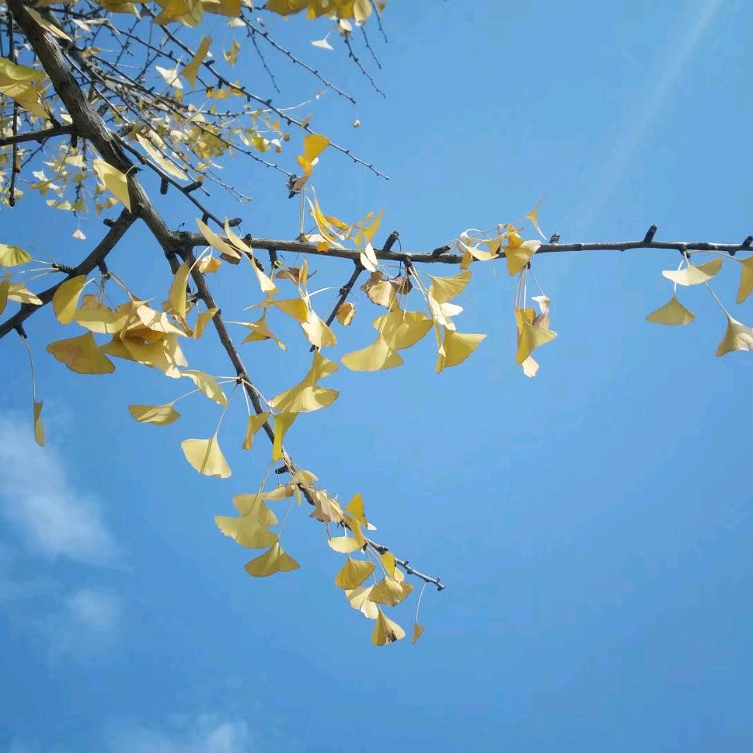 香山温暖