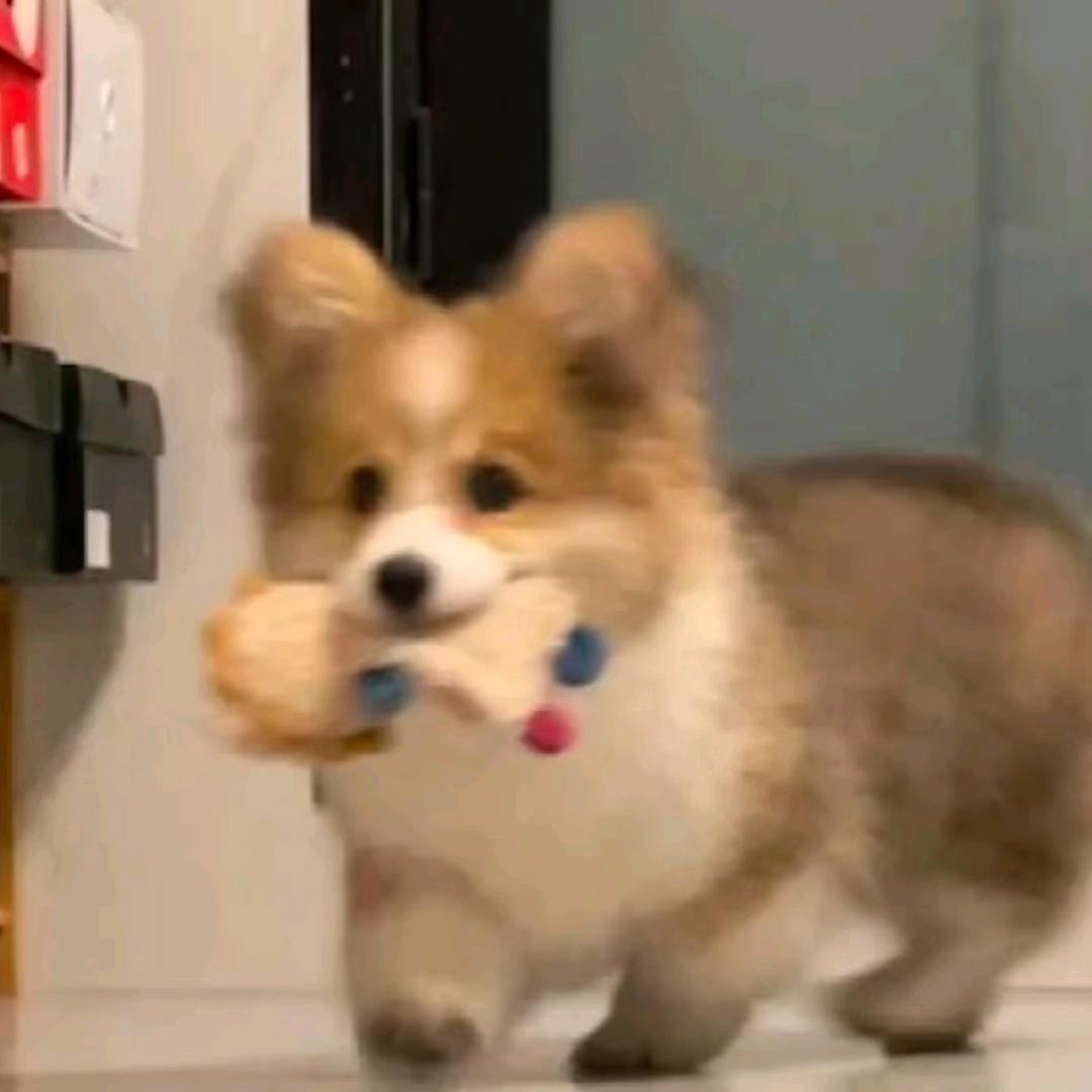 牛爷爷穿露脐装勾引壮壮妈