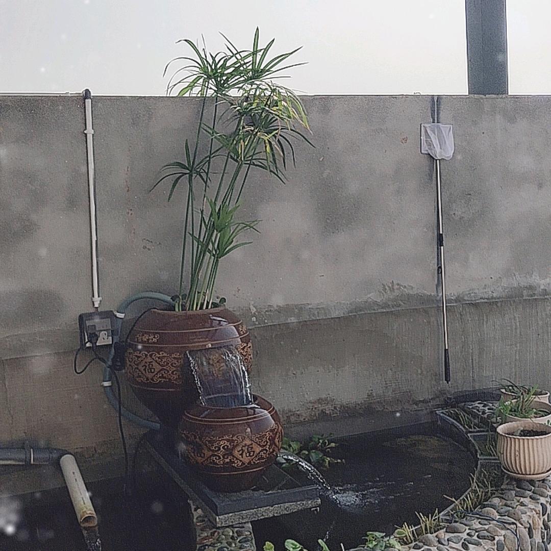 四十而已