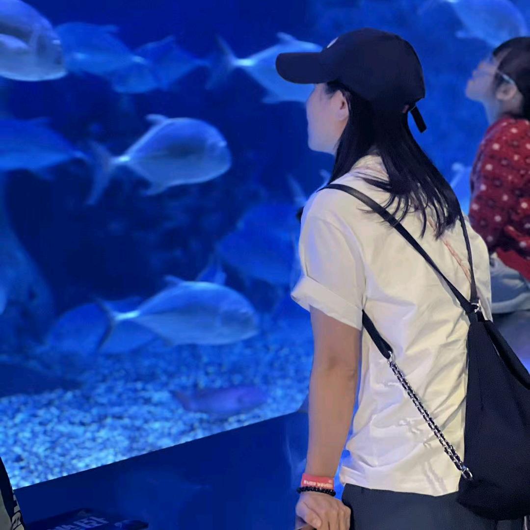 隔壁老卢（减肥版）（已痩33斤）