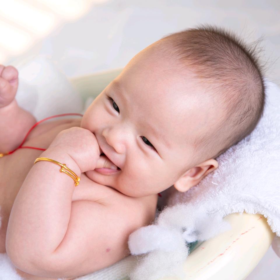 闲不住的精灵兔