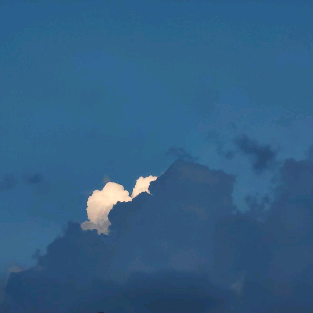 自由的云☁