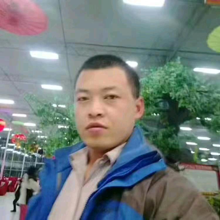 洋洋洋