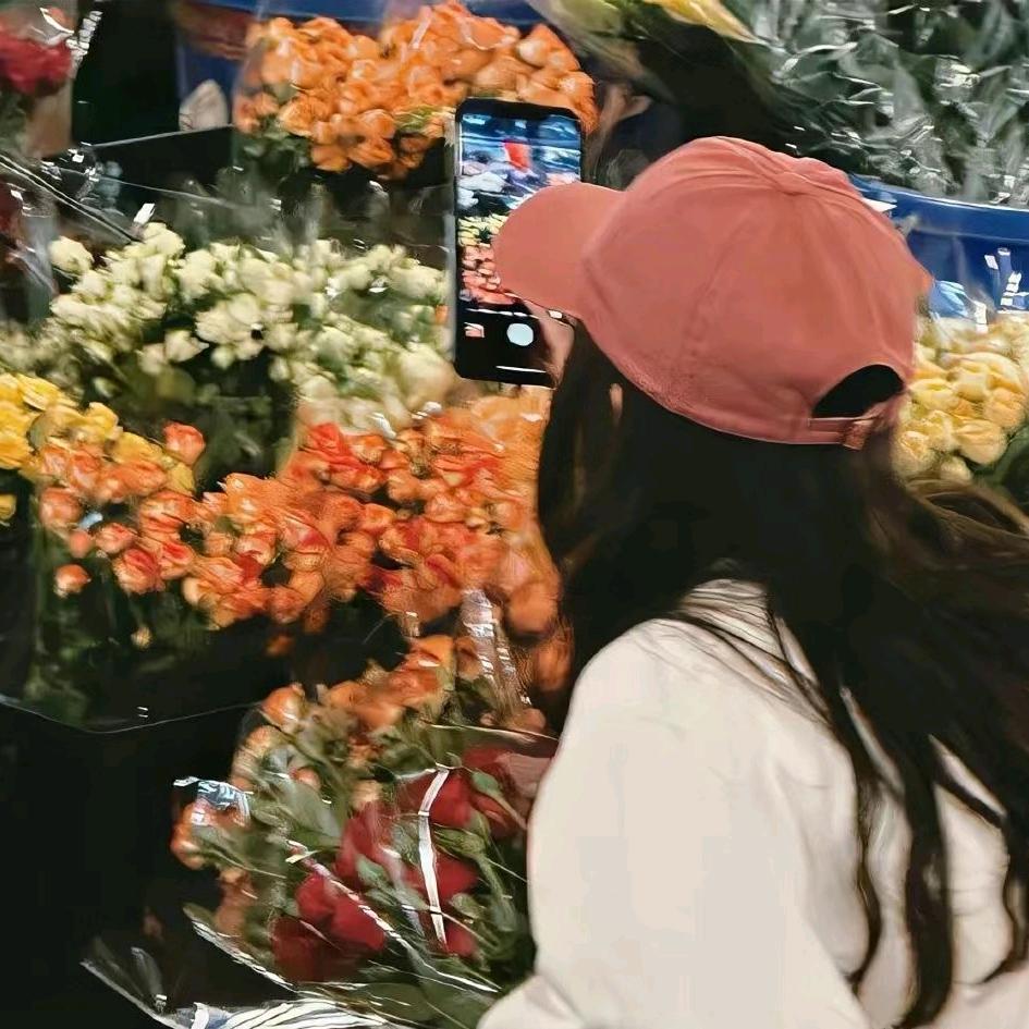 白菜