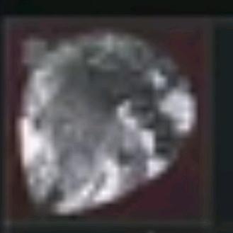 曼小鼠（三角洲扶贫）