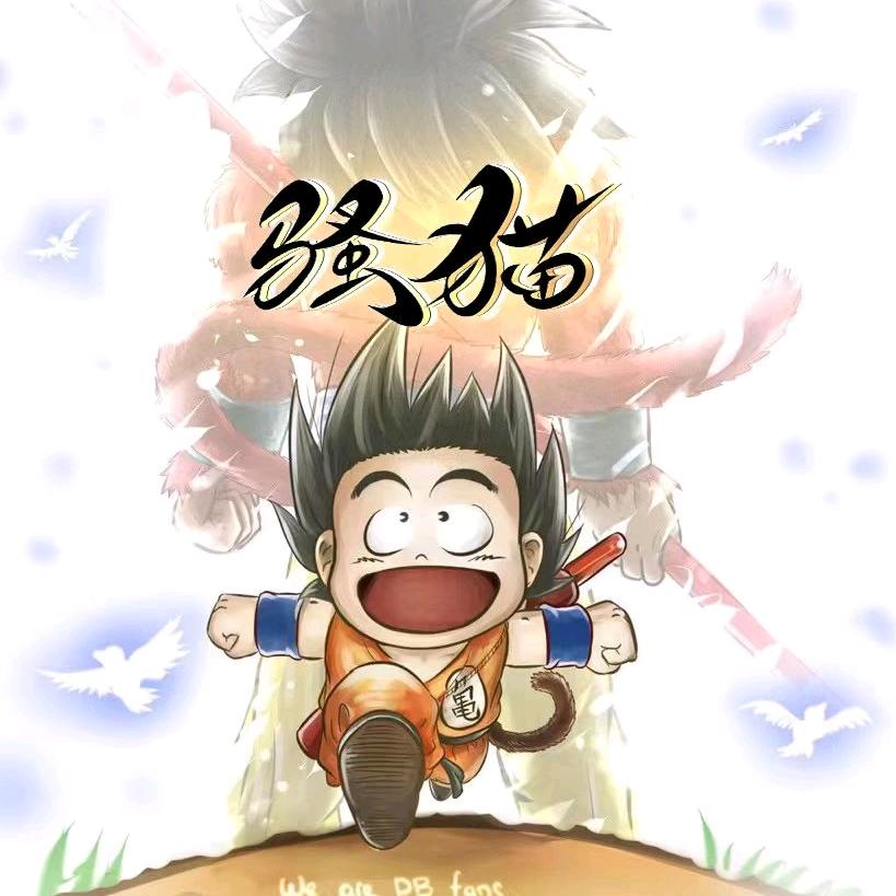 精灵盛典…猫、