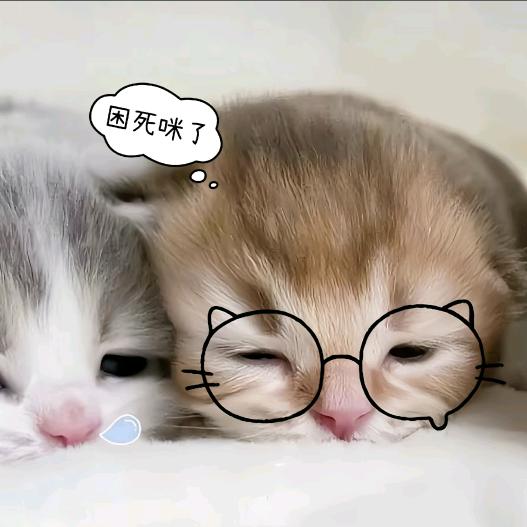 小于🐟