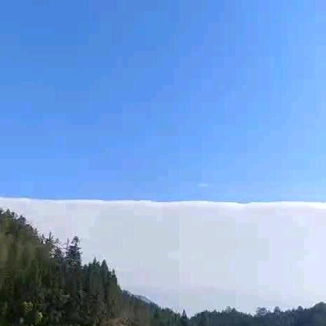 南墙北路