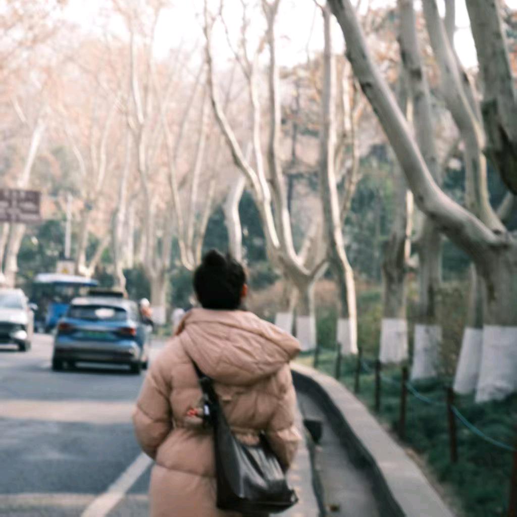 背着房子的蜗牛🐌