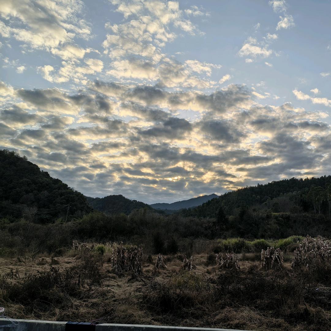 蓝 冰✨✨Ⅹ