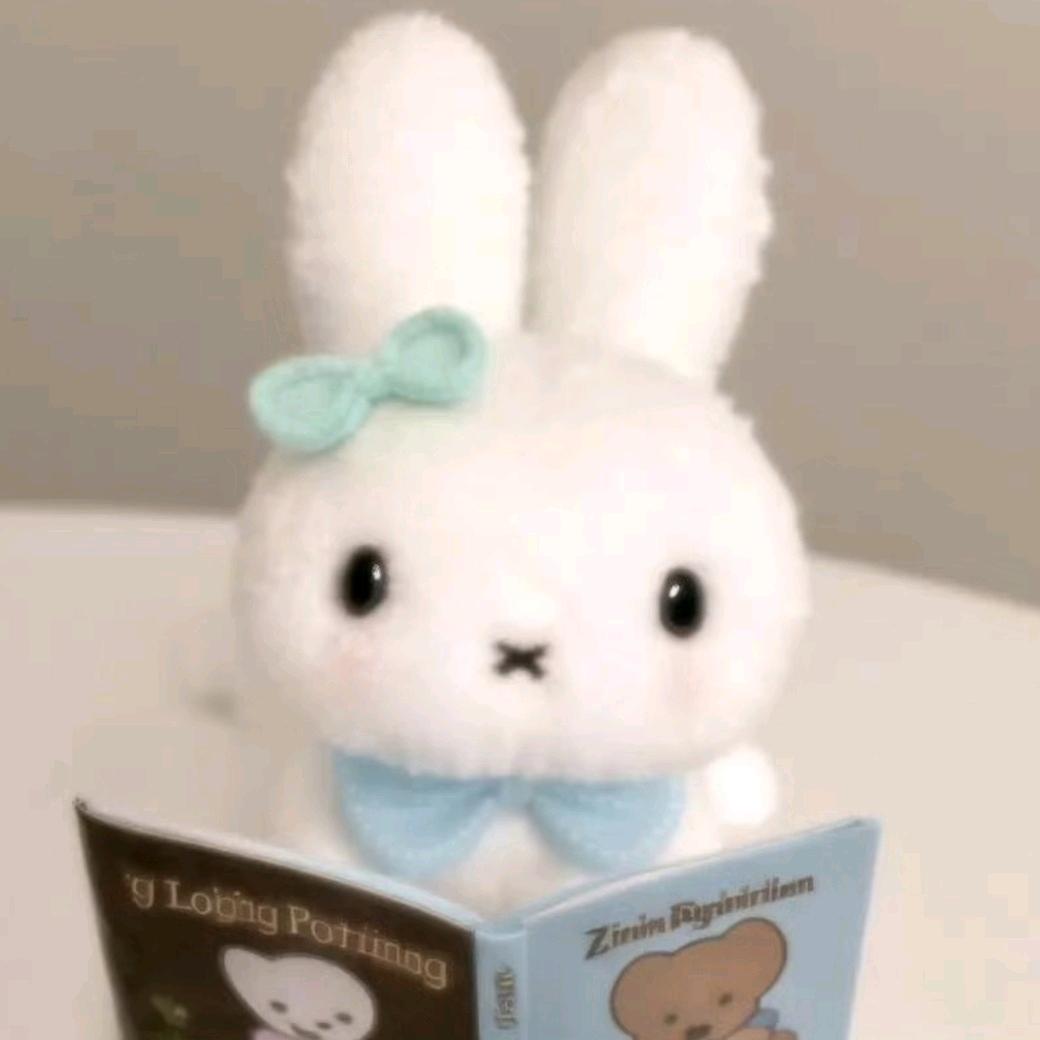 堂堂大洛安（豆芽还我流量...