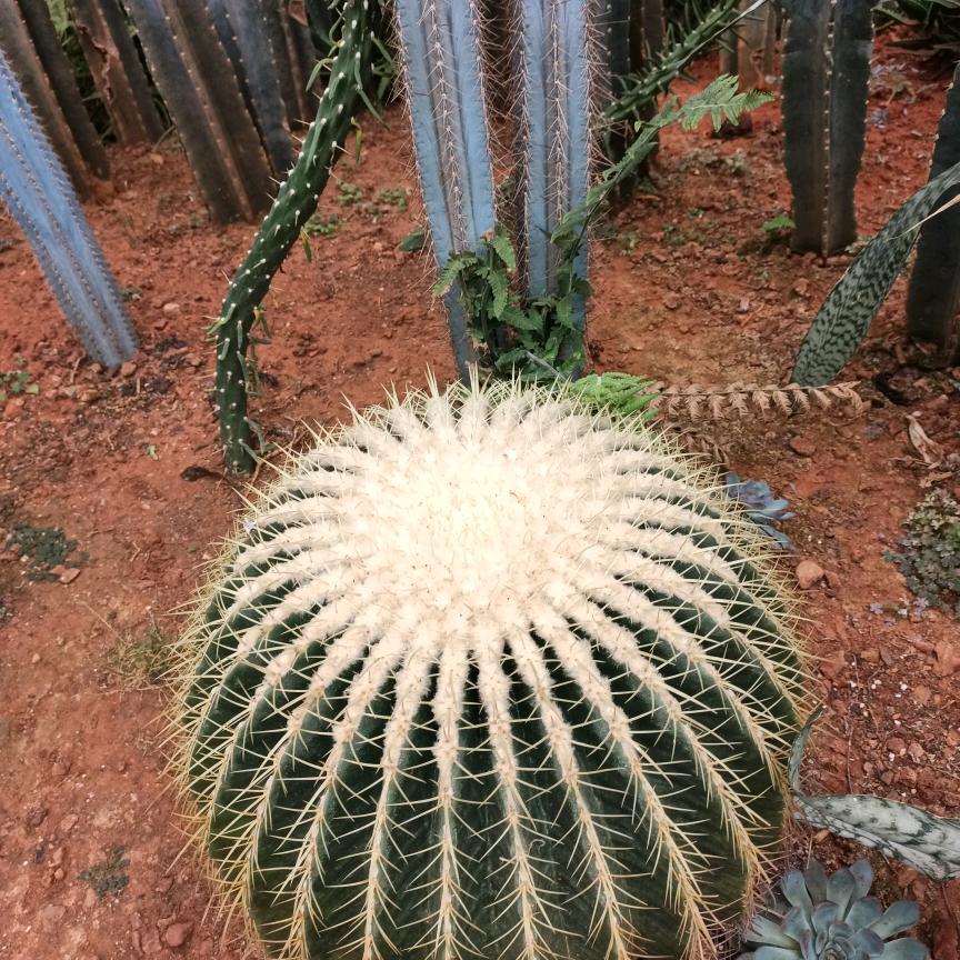 我的人生………罗