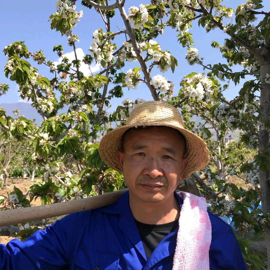 雅安樱桃哥