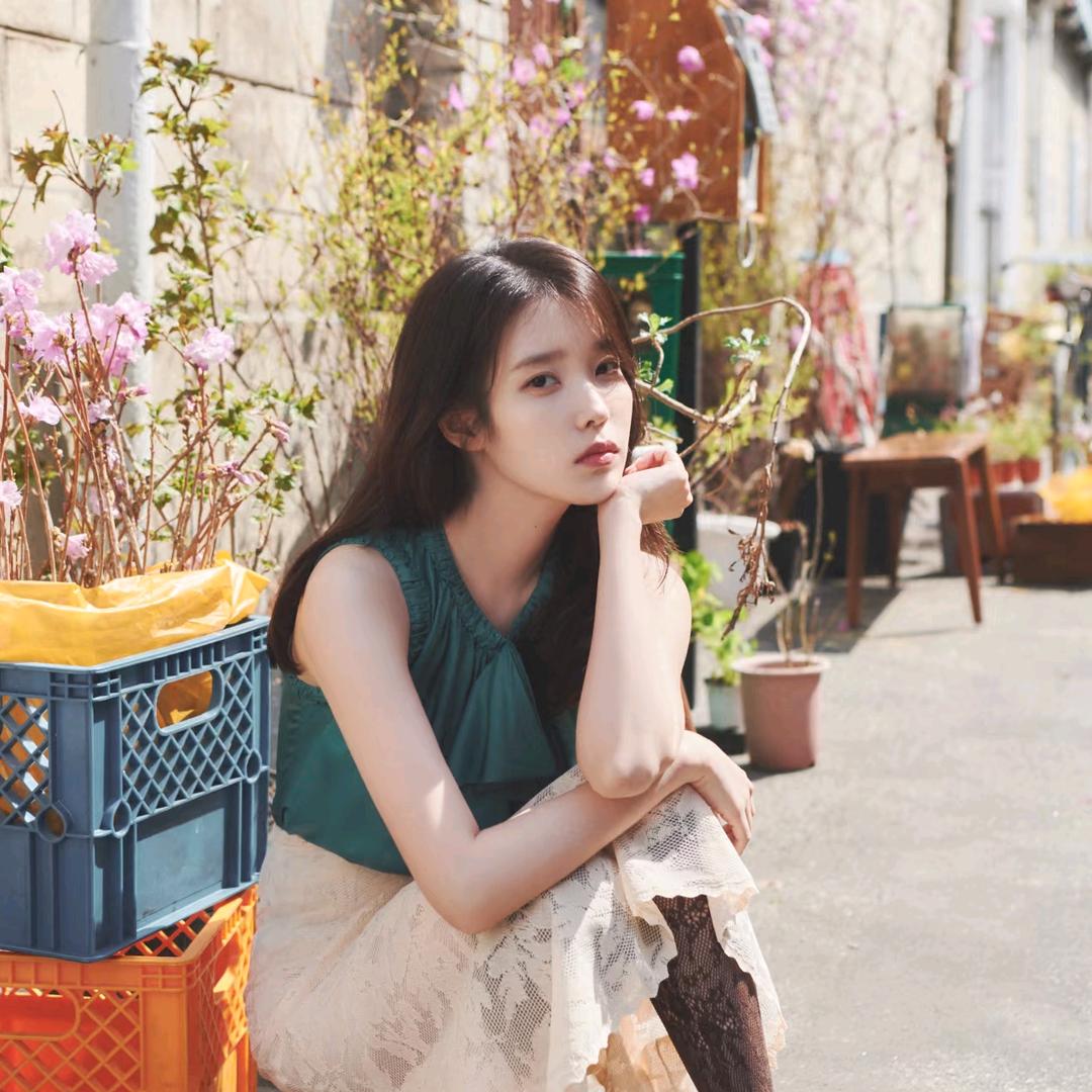 茉莉清欢 🦋