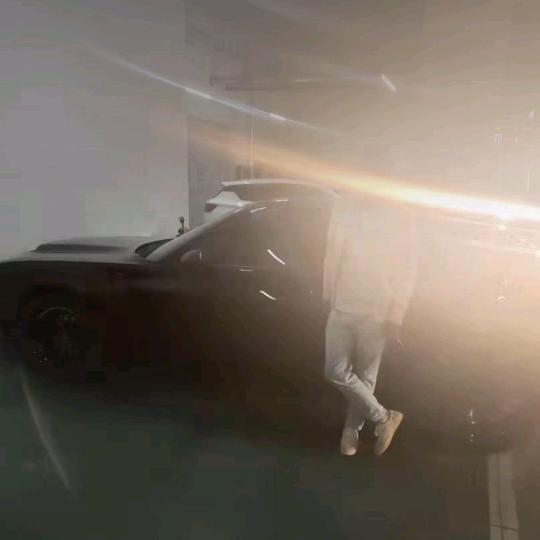 @向仔
