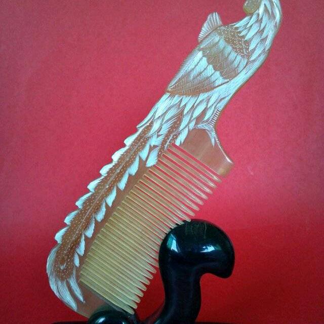 浩波