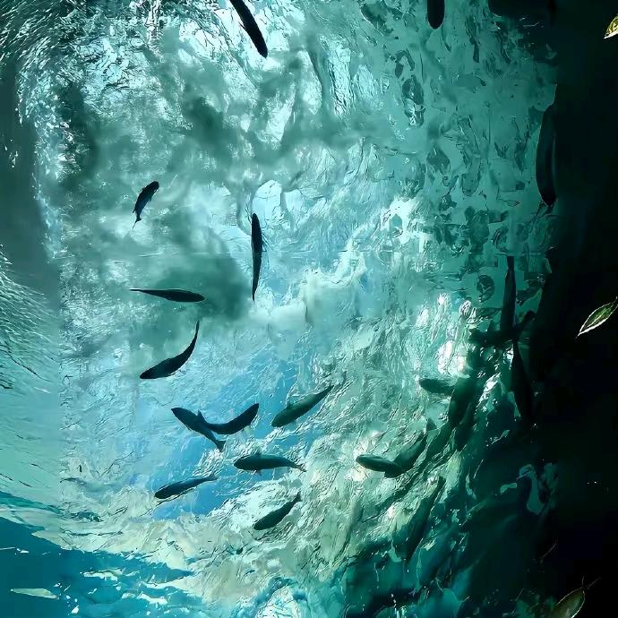 xixi（见过袁一琦版）