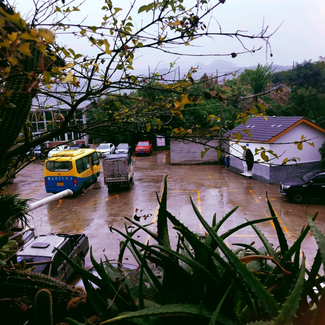 无忧无虑海阔天空wuyouwulv