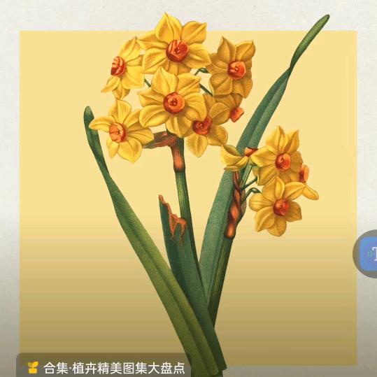 ℳঞ ໌້ᮨ㞮孞ღ᭄