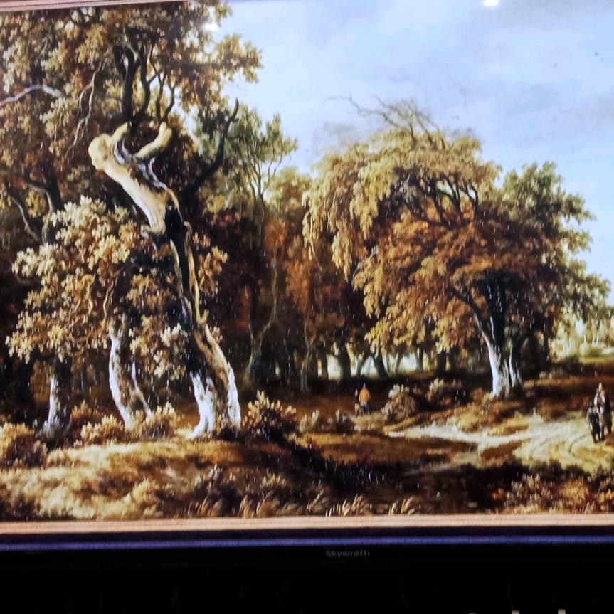 带刺的野玫瑰。