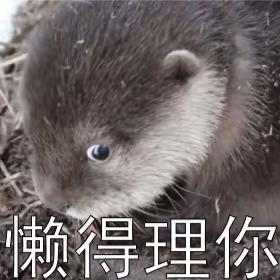 凡尘一梦