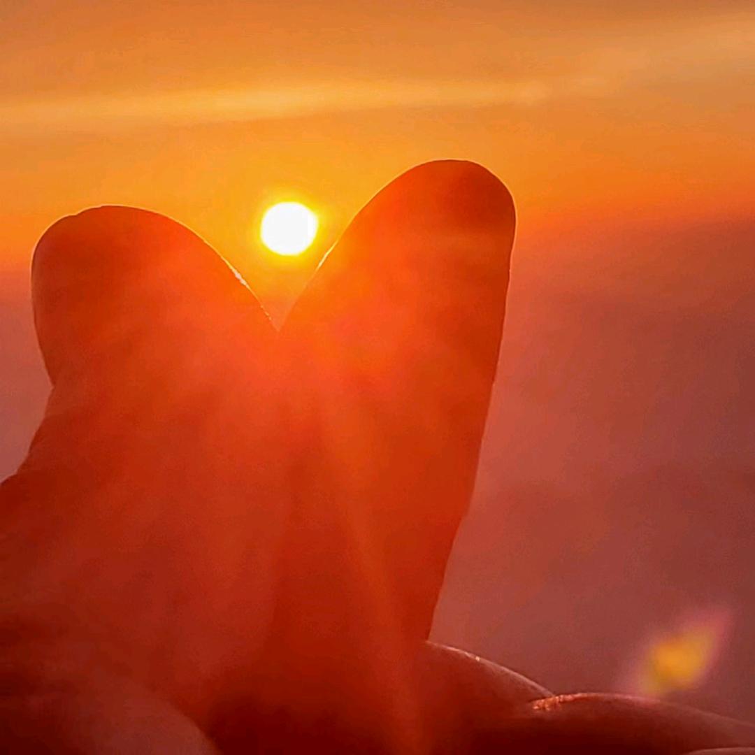 休休－－－家乐