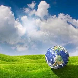 阿毛（橱窗有好物）