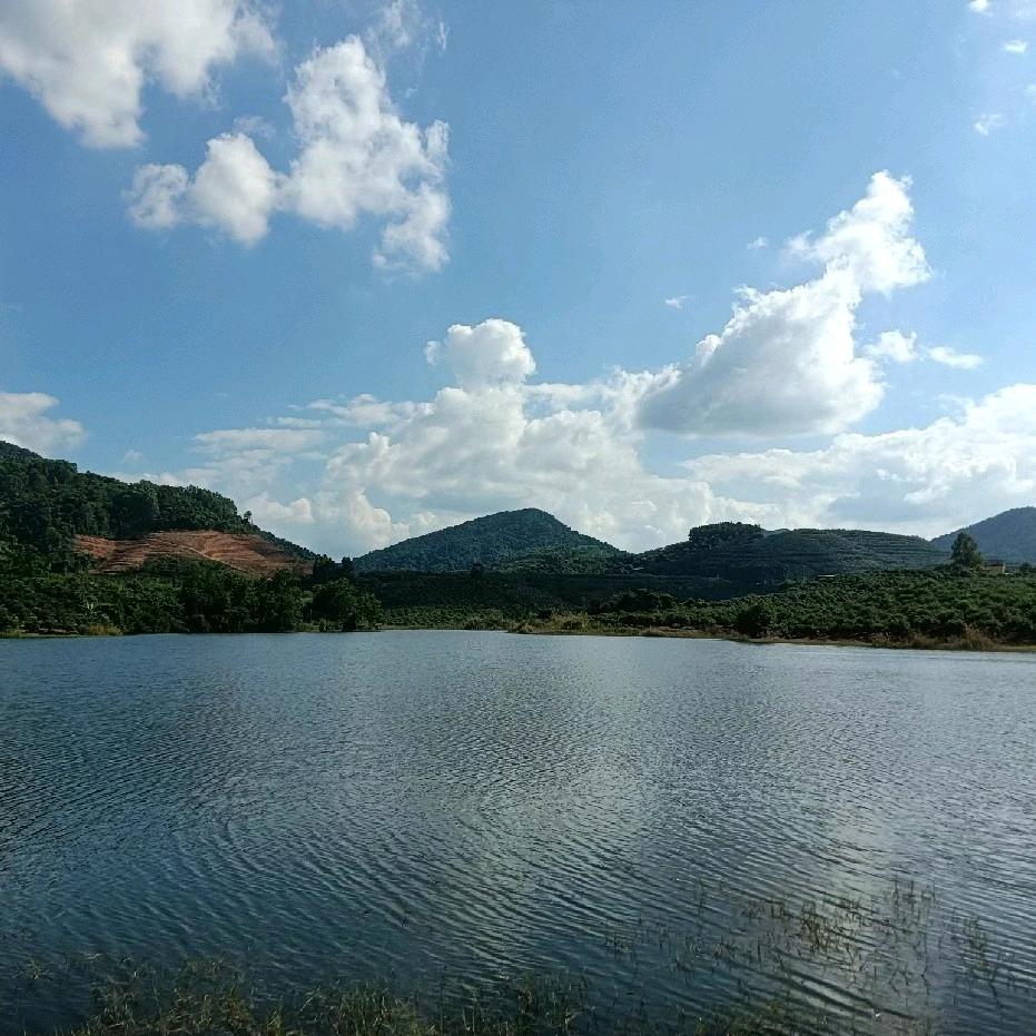 陈铭宏