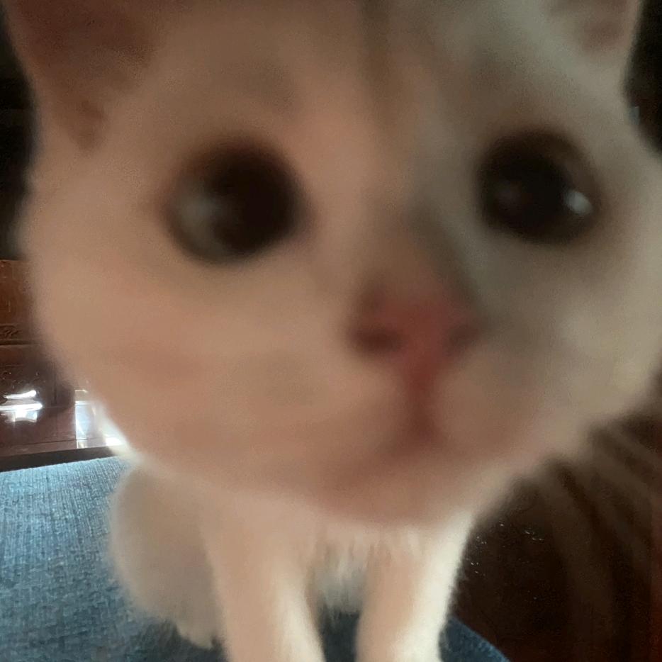 我睁着眼玩的。