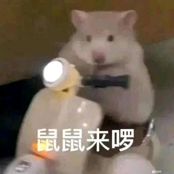 浮生如梦