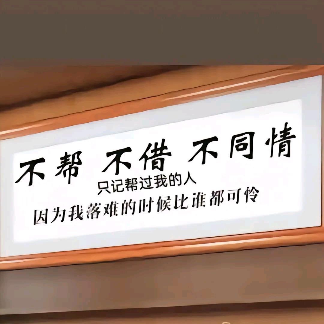 保定九天