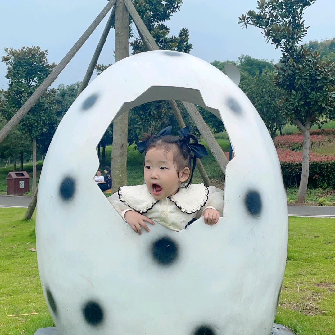 丰田潘二毛