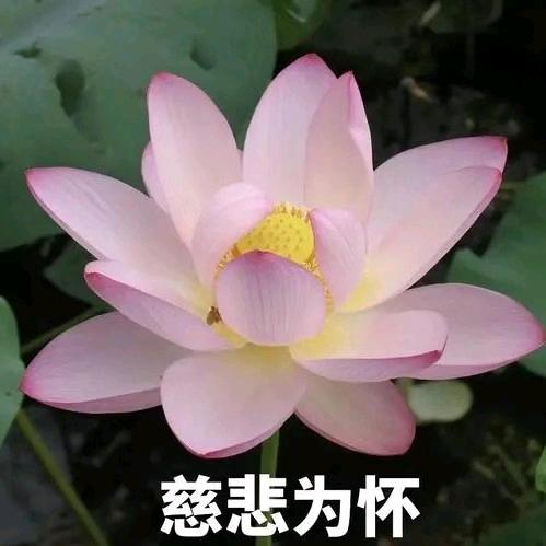 @秀一切随缘