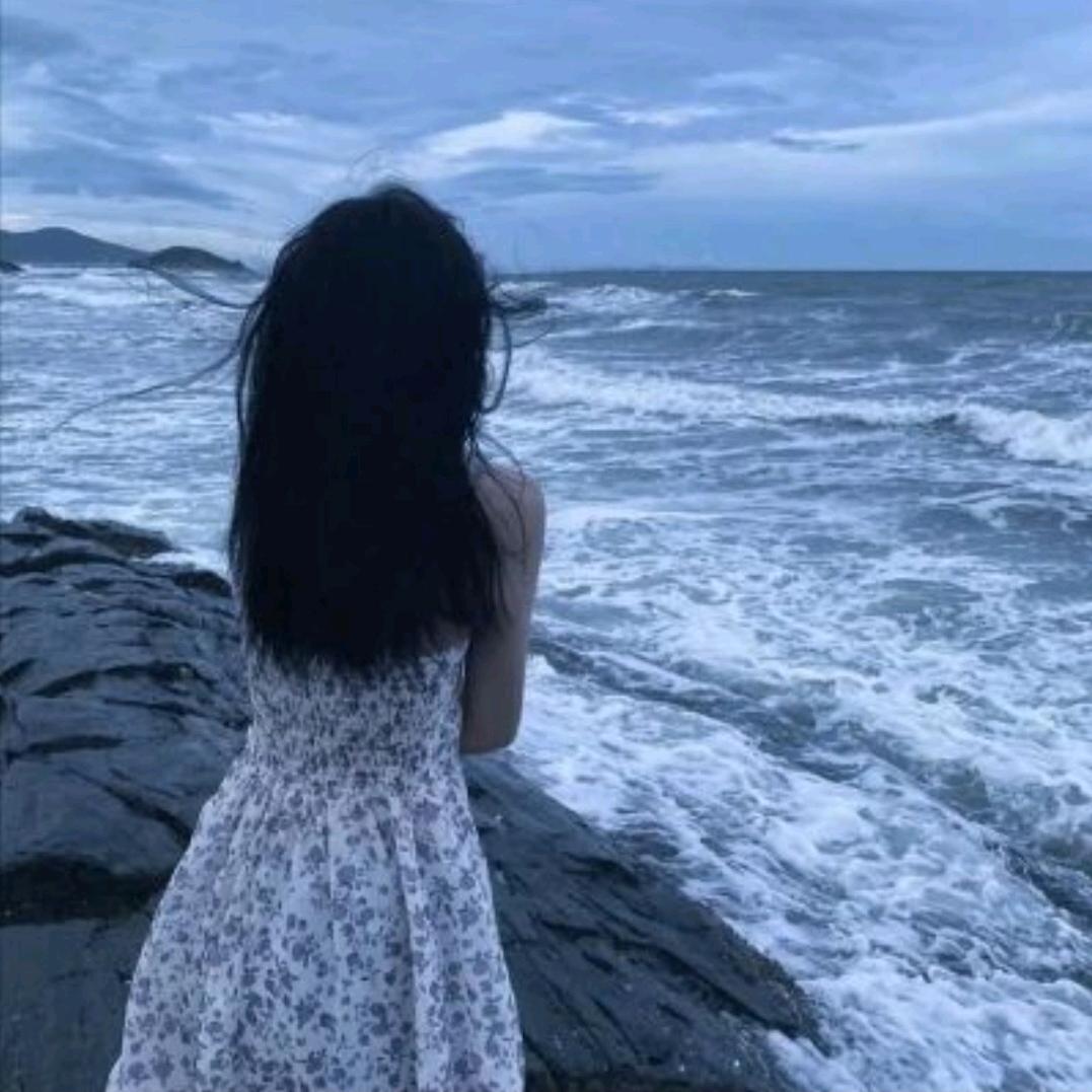星猫💗