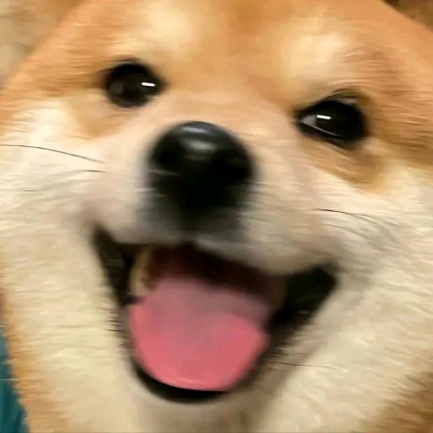 乌龙三分糖.