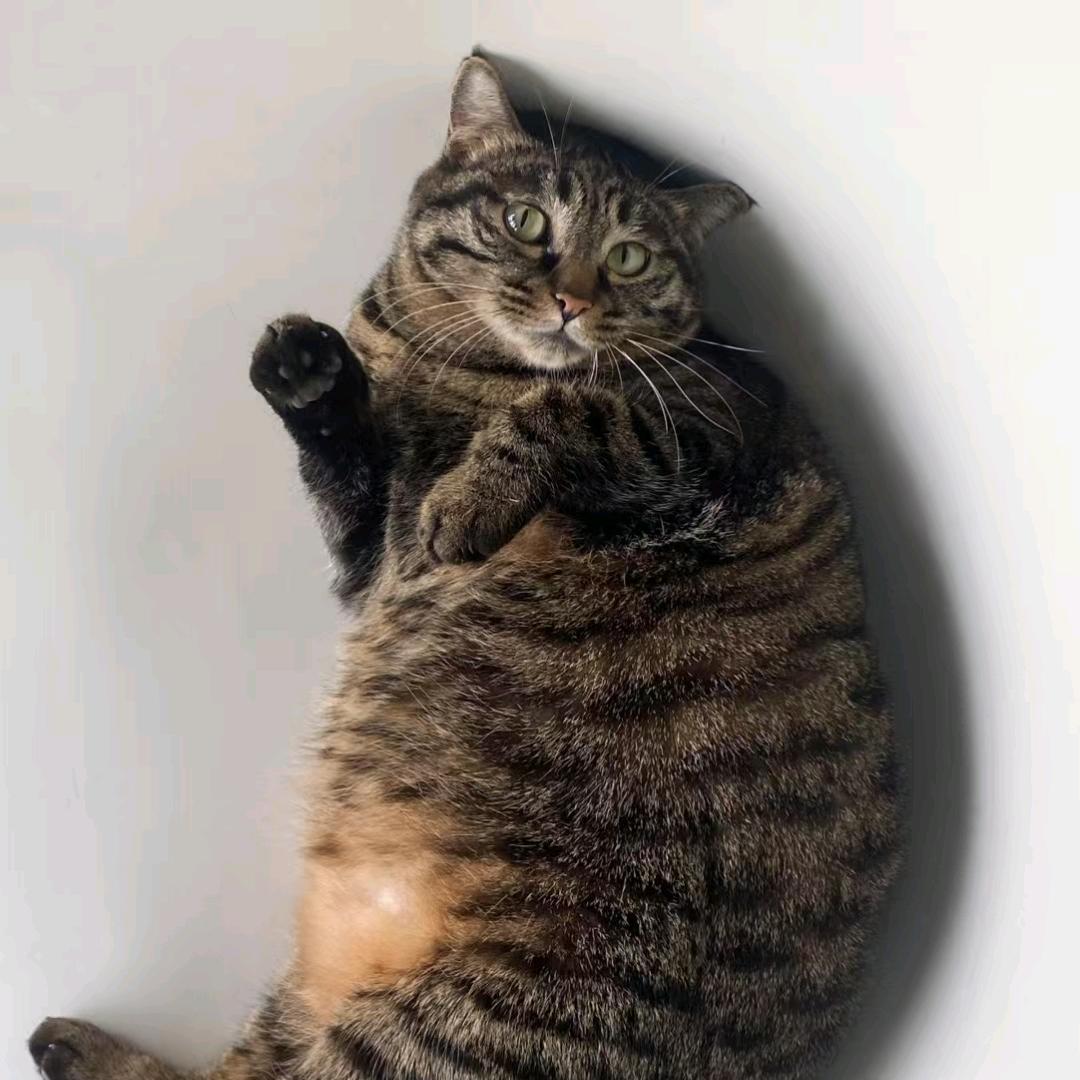 如若画风工作室