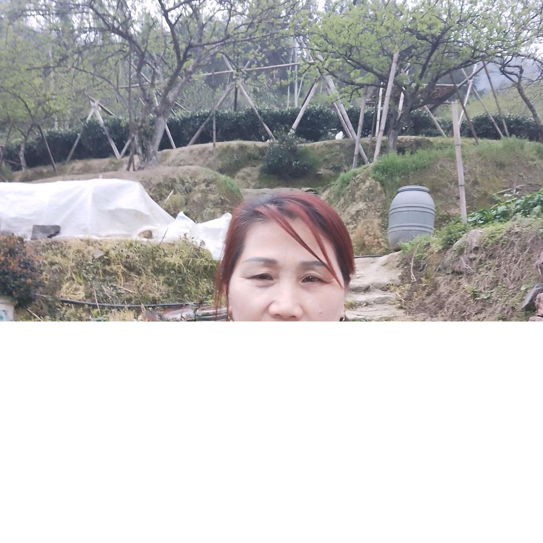 毛开心