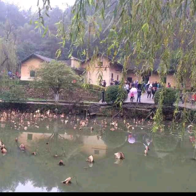 濮阳大老王