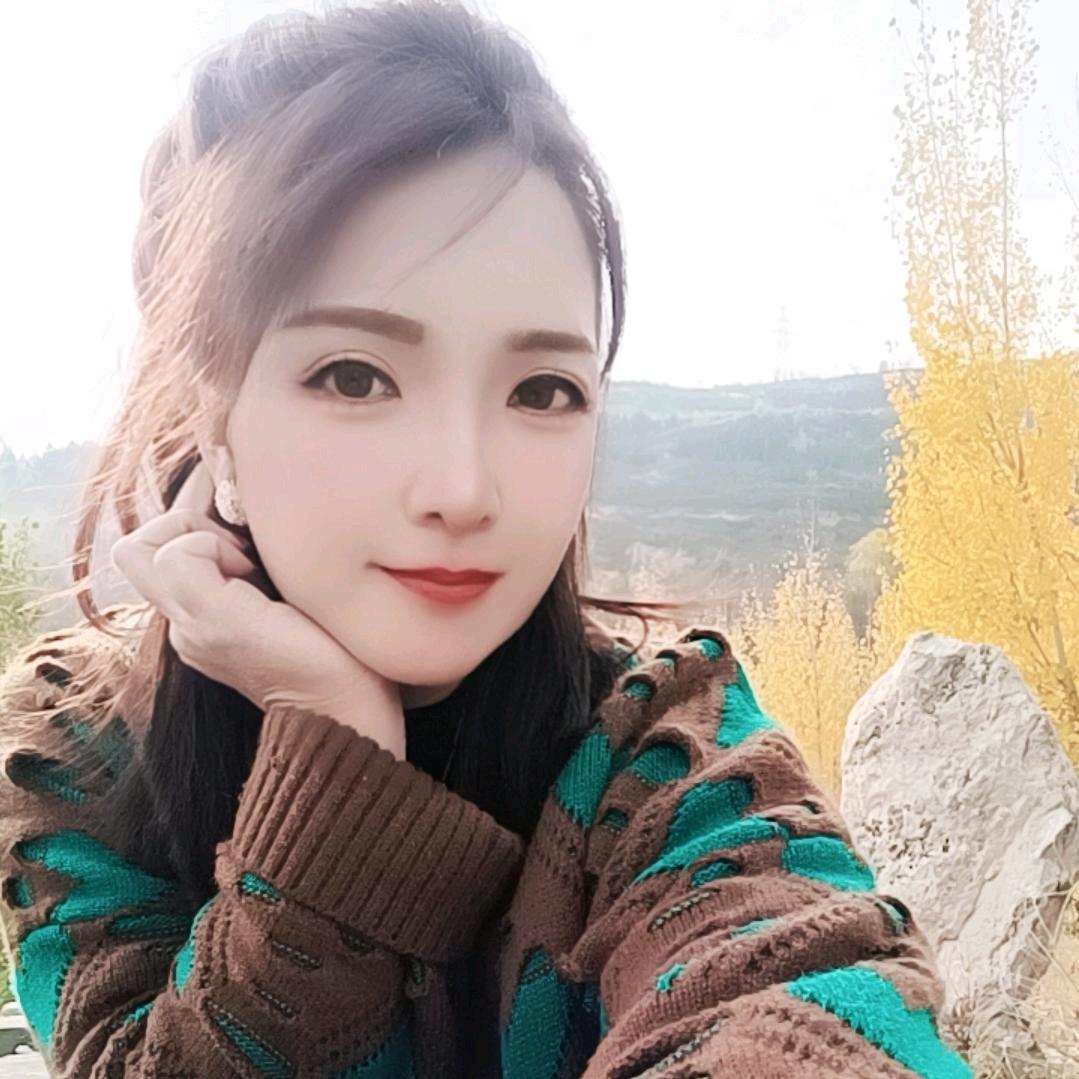 维也纳的冬天